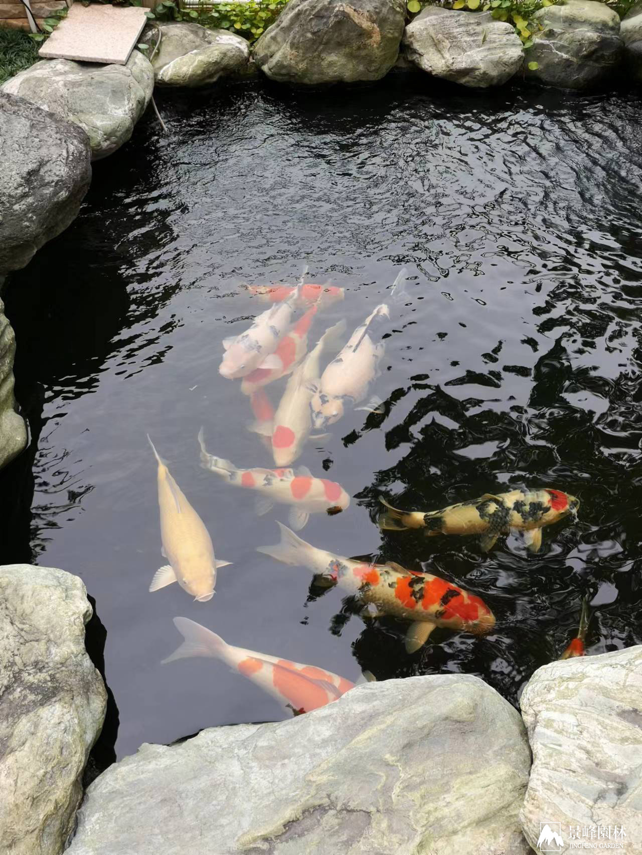 鳳崗翡翠山湖_4